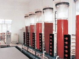 去离子水处理设备去,离子水设备，离子交换去离子水设备 ，新长江水处理设备